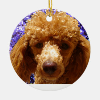 Cute Poodle Keramisch Ornament