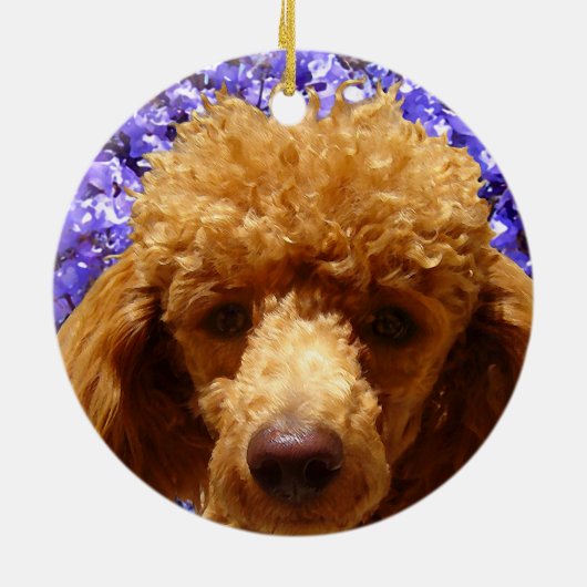 Cute Poodle Keramisch Ornament (Achterkant)