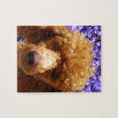 Cute Poodle Legpuzzel (Horizontaal)
