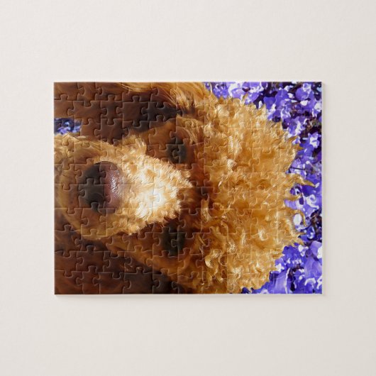 Cute Poodle Legpuzzel (Horizontaal)