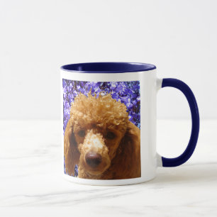 Cute Poodle Mok