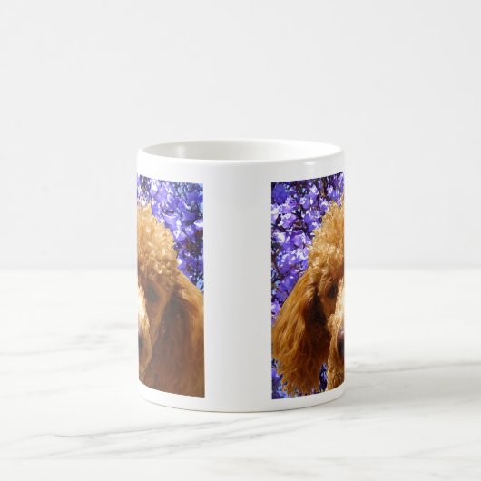 Cute Poodle Mok (Center)