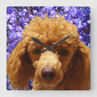 Cute Poodle Vierkante Klok