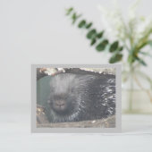 Cute Porcupine Face DIY Text Briefkaart (Staand voorkant)