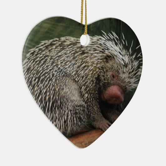 Cute Porcupine Ornament (Rechts)