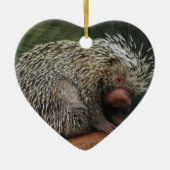 Cute Porcupine Ornament (Voorkant)