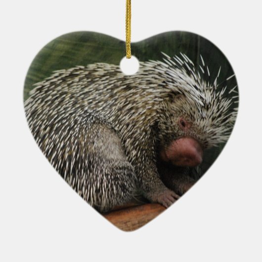 Cute Porcupine Ornament (Achterkant)