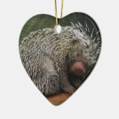Cute Porcupine Ornament (Links)