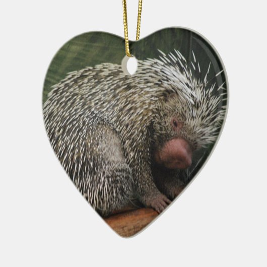 Cute Porcupine Ornament (Links)