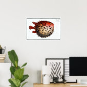  Cute Porcupinefish Pufferfish Balloonvis Poster (Thuiskantoor)