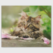 Cute Portrait Maine Coon Cat Kitten in een tuin - Cadeaupapier (Vlak)