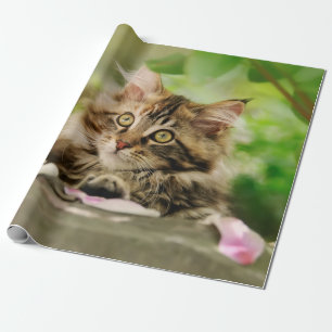 Cute Portrait Maine Coon Cat Kitten in een tuin - Cadeaupapier