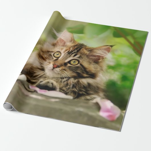 Cute Portrait Maine Coon Cat Kitten in een tuin - Cadeaupapier (Uitgerold)
