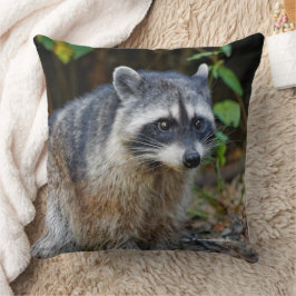Cute Posing North American Raccoon Kussen