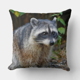 Cute Posing North American Raccoon Kussen