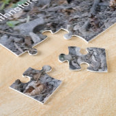 Cute Posing North American Raccoon Legpuzzel (Zijkant)