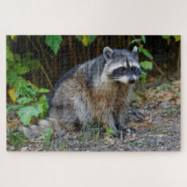 Cute Posing North American Raccoon Legpuzzel
