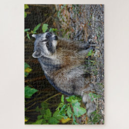 Cute Posing North American Raccoon Legpuzzel