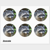 Cute Posing North American Raccoon Ronde Sticker (Vel)
