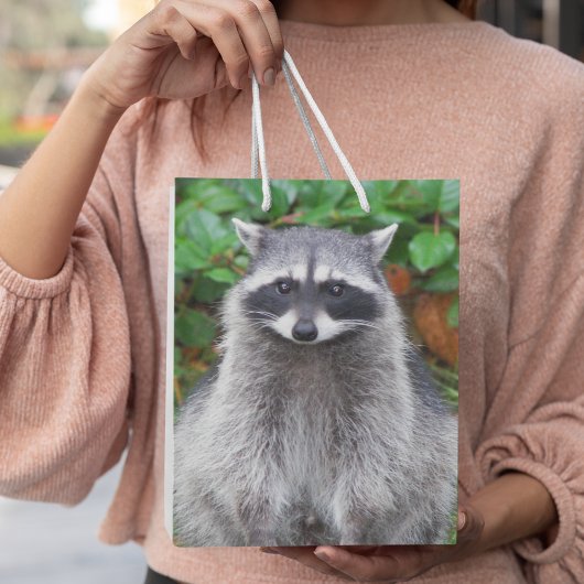 Cute Posing Raccoon Wildlife Foto Medium Cadeauzakje