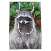 Cute Posing Raccoon Wildlife Foto Medium Cadeauzakje (Achterkant)