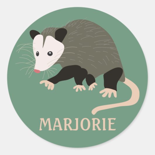 Cute Possum Illustralised Light Green Ronde Sticker (Voorkant)