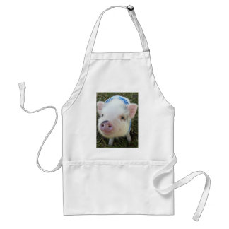 Cute Pot Belly Pig Standaard Schort