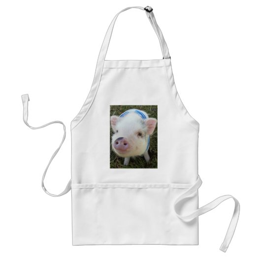 Cute Pot Belly Pig Standaard Schort (Voorkant)