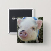 Cute Pot Belly Pig Vierkante Button 5,1 Cm (Voorkant /achterkant)