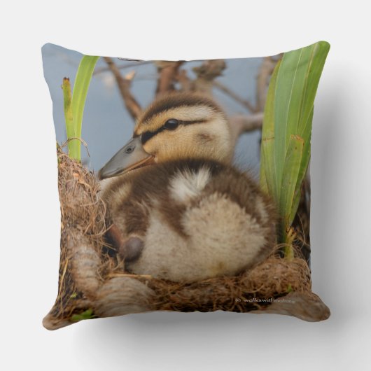 Cute Precocide Mallard Ducking Baby Bird Kussen (Achterkant)
