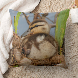 Cute Precocide Mallard Ducking Baby Bird Kussen