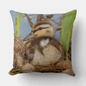 Cute Precocide Mallard Ducking Baby Bird Kussen (Voorkant)