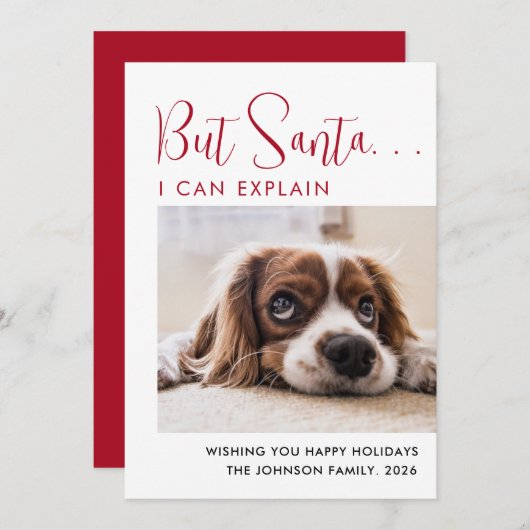 Cute Prettige feestdagen Pet Photo Feestdagenkaart (Voorkant / Achterkant)