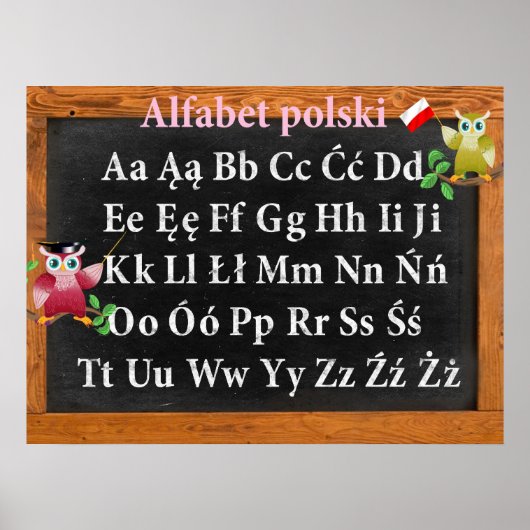 Cute Professor Owl Pools Alphabet Alfabet polski Poster (Voorkant)