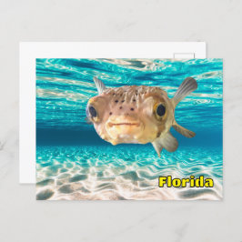 Cute Puffer Fish in the Ocean Peaceful Underwater Briefkaart