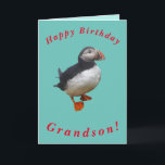 Cute Puffin Birthday Card for Grandson Kaart<br><div class="desc">Een schattige puffin maakt een mooi afbeelding voor deze verjaardagskaart voor oma.  Alle tekst kan gemakkelijk worden aangepast.</div>