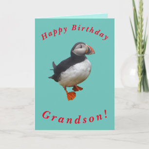 Cute Puffin Birthday Card for Grandson Kaart
