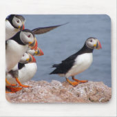 Cute Puffins Mousepad Muismat (Voorkant)