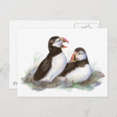 Cute Puffins, Ocean Bird, Beach, Natuur Briefkaart (Voorkant / Achterkant)