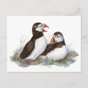Cute Puffins, Ocean Bird, Beach, Natuur Briefkaart