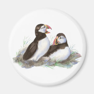 Cute Puffins, Ocean Bird, Beach, Natuur Magneet