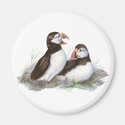 Cute Puffins, Ocean Bird, Beach, Natuur Magneet (Voorkant)