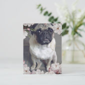 Cute Pug Briefkaart (Staand voorkant)