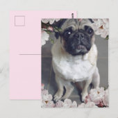 Cute Pug Briefkaart (Voorkant / Achterkant)