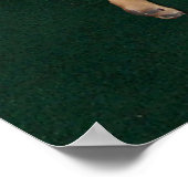 Cute Pug & Cat-Poster Poster (Hoek)