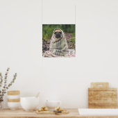 Cute Pug Close-up poster (Keuken)