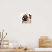 Cute Pug Close-up small poster (Keuken)