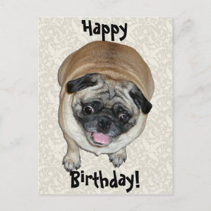 Cute Pug Dog Birthday Briefkaart