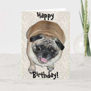 Cute Pug Dog Birthday Kaart