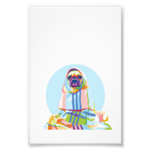 Cute Pug Dog Colorful in Blanket Foto Afdruk